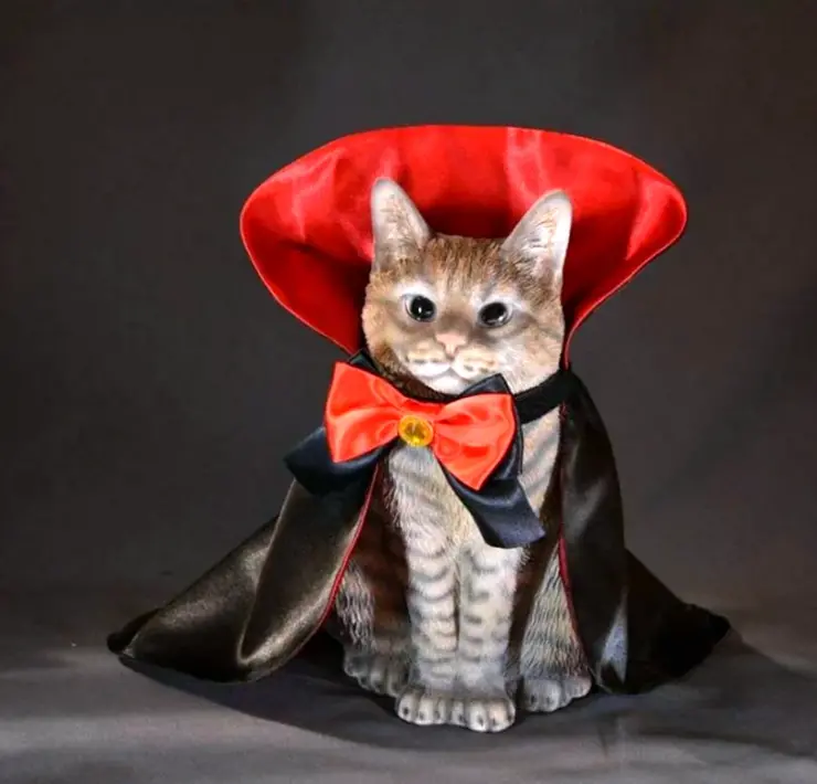 Кот в костюме