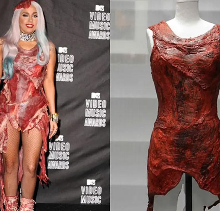 Леди Гага костюм из мяса