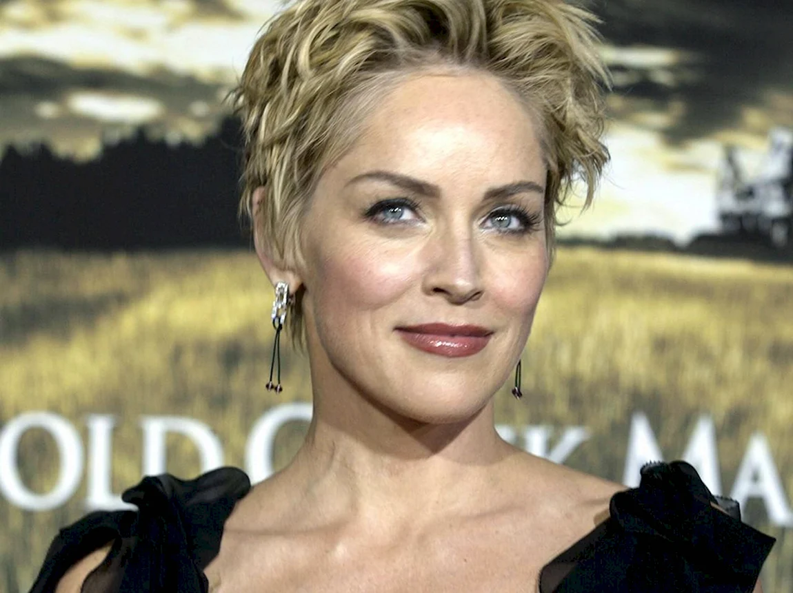 Шэрон Стоун. Шэрон Стоун (Sharon Stone). Шэрон Стоун фото. Шерон Стоун 2023.