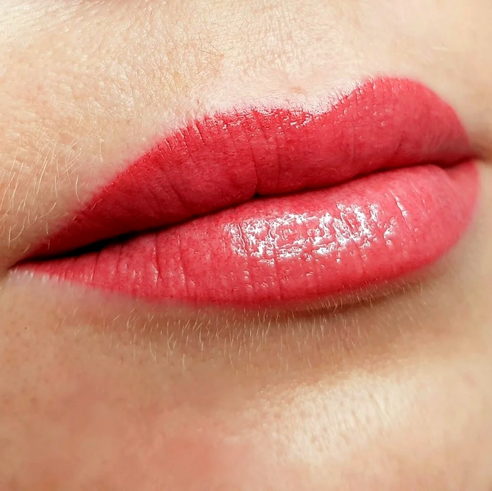 Пудровые губы отзывы. Пудровый перманент губ. 3д губы перманент. Перманентный макияж губ. Пудровый перманентный макияж губ.