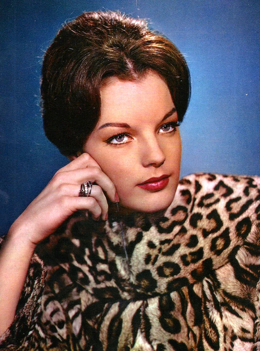 Роми Шнайдер. Роми Шнайдер актриса. Роми Шнайдер Romy Schneider. Роми Шнайдер фото.