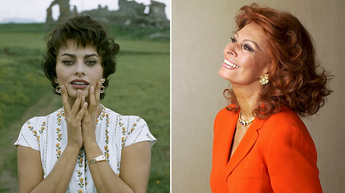 Софи Лорен (Sophia Loren). Sophia Loren в молодости. Софи Лорен 2020.